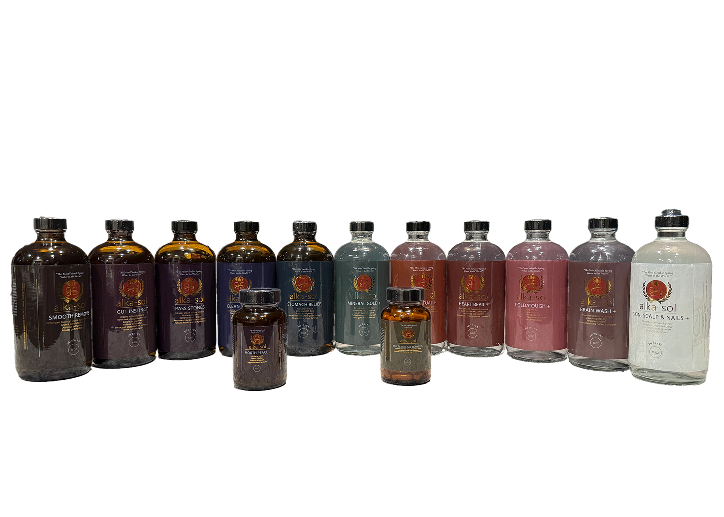 FULL BIO-RESTORATION PROTOCOL