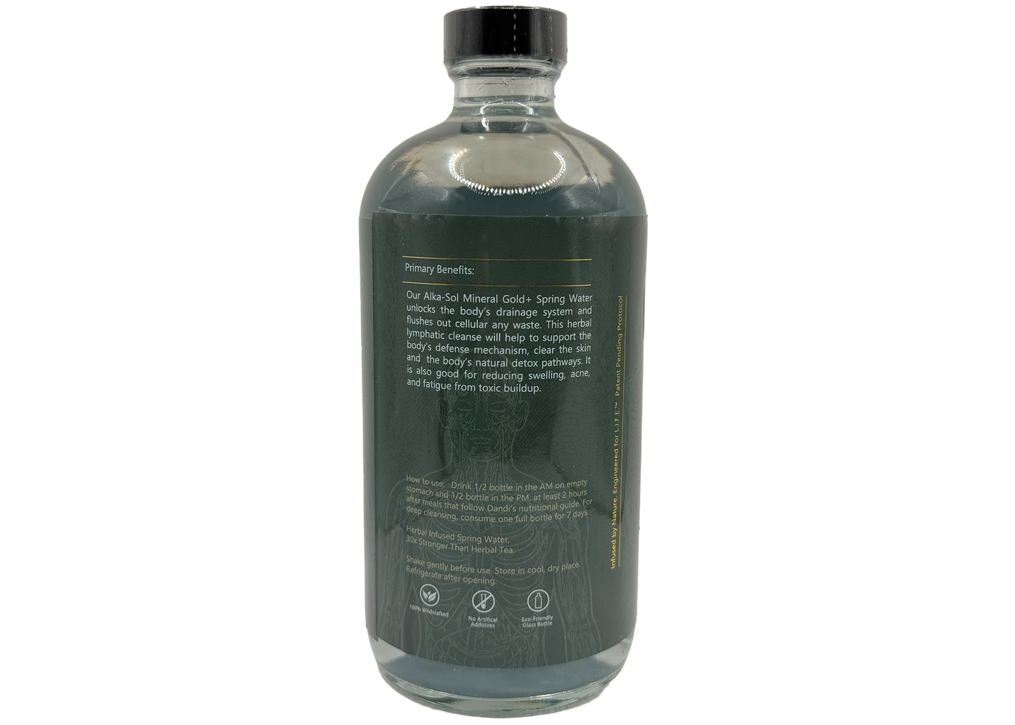 Alka-Sol LYMPH GOLD+